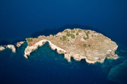 vrahonisida